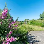 In Near The Villa Callantsoog