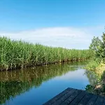 In Near The فيلة كالانتسوج